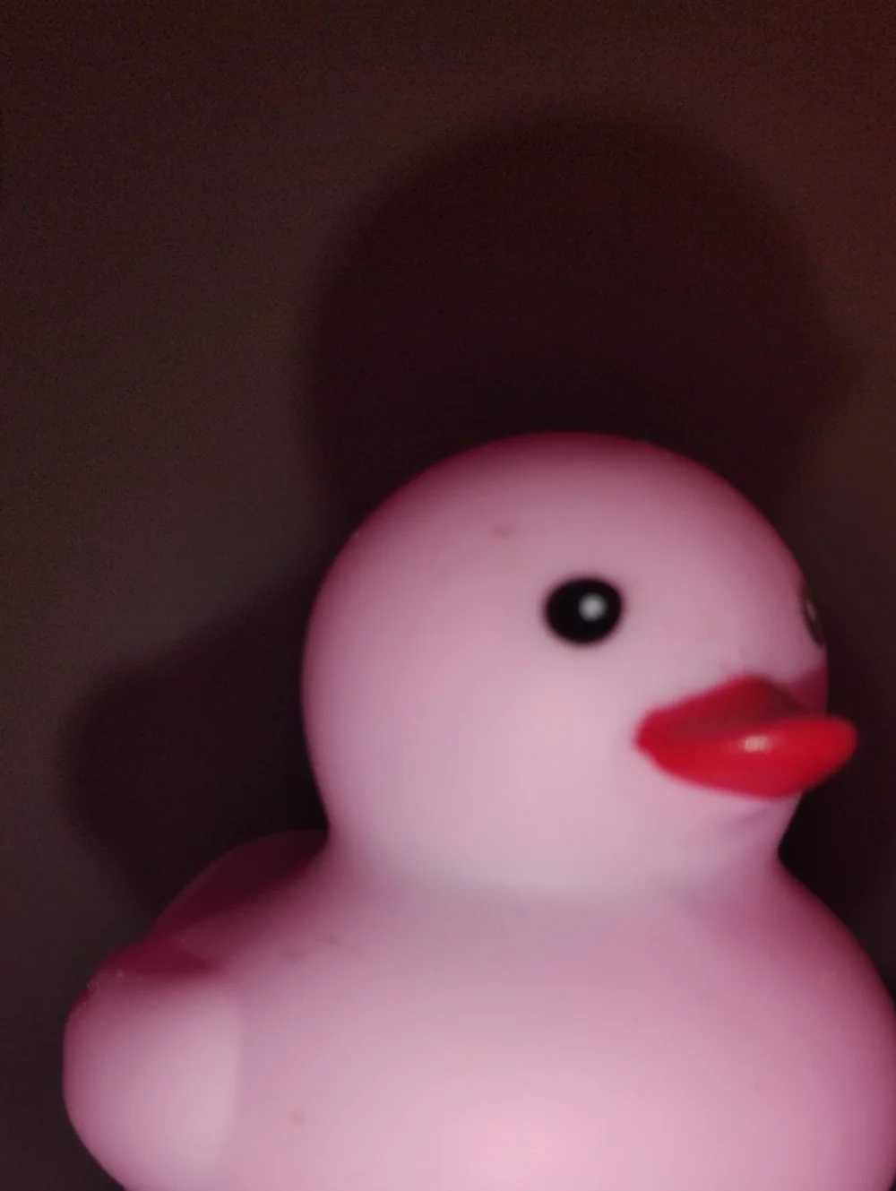 Pink Rubber Duck Bird Toy for Pets and Baths
